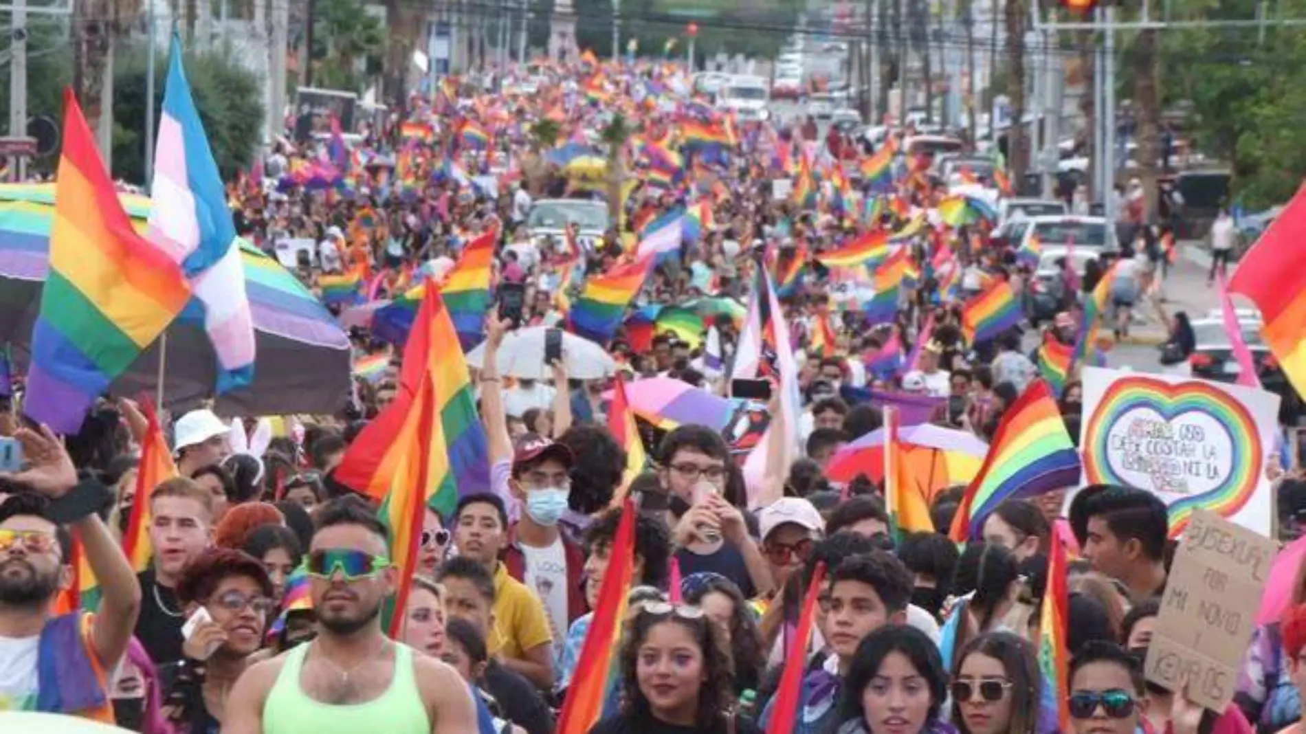 marcha chihuaua lgbt